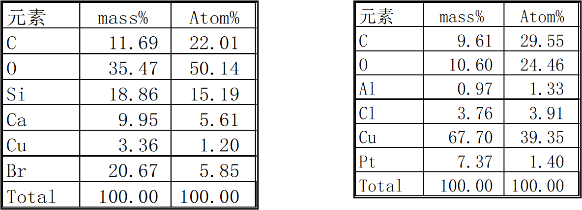 圖片8.png